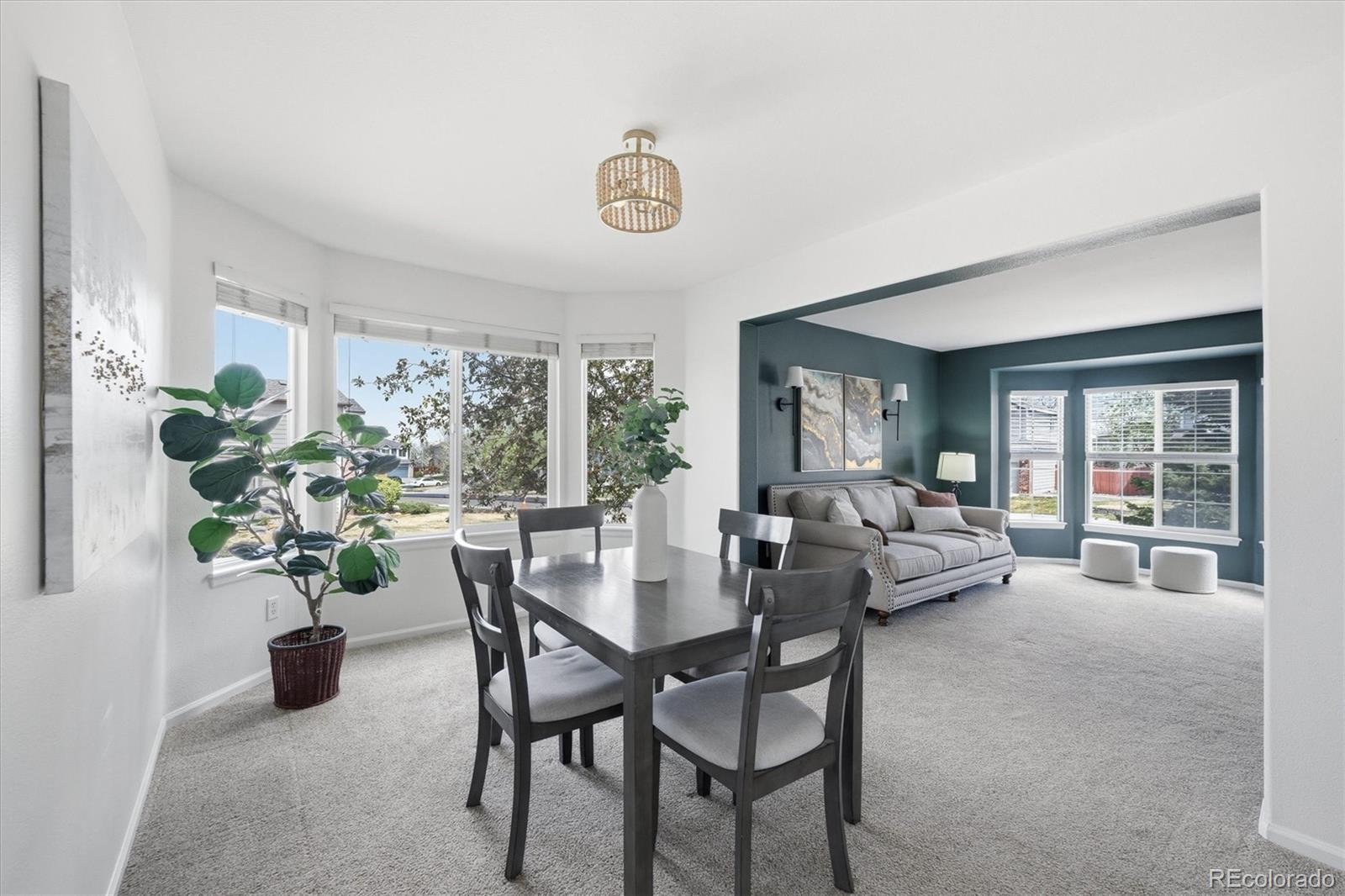 MLS Image #10 for 6101 s shawnee street,centennial, Colorado