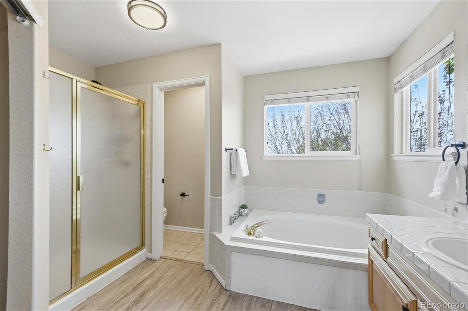 MLS Image #29 for 6101 s shawnee street,centennial, Colorado