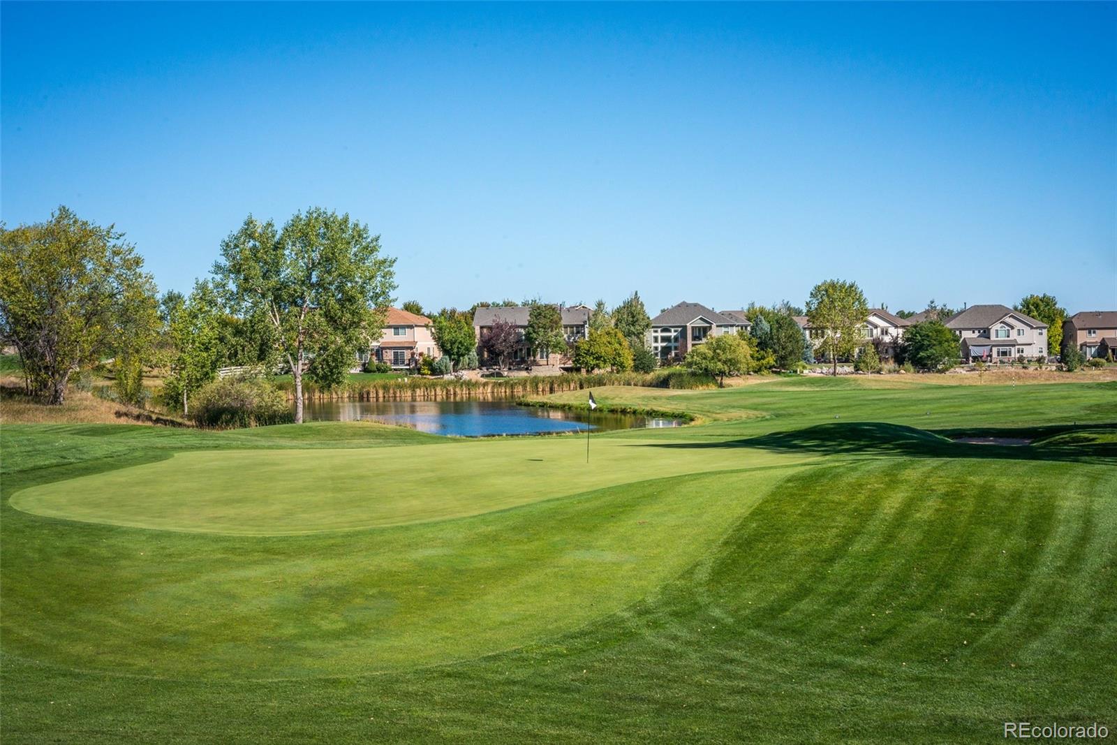 MLS Image #38 for 14152  adam court,broomfield, Colorado