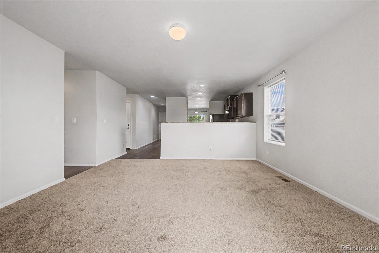 MLS Image #6 for 47386  lily avenue,bennett, Colorado