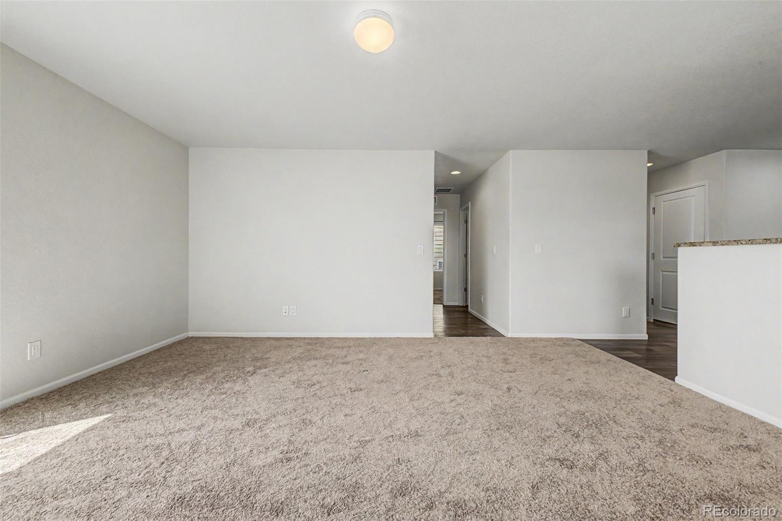 MLS Image #8 for 47386  lily avenue,bennett, Colorado