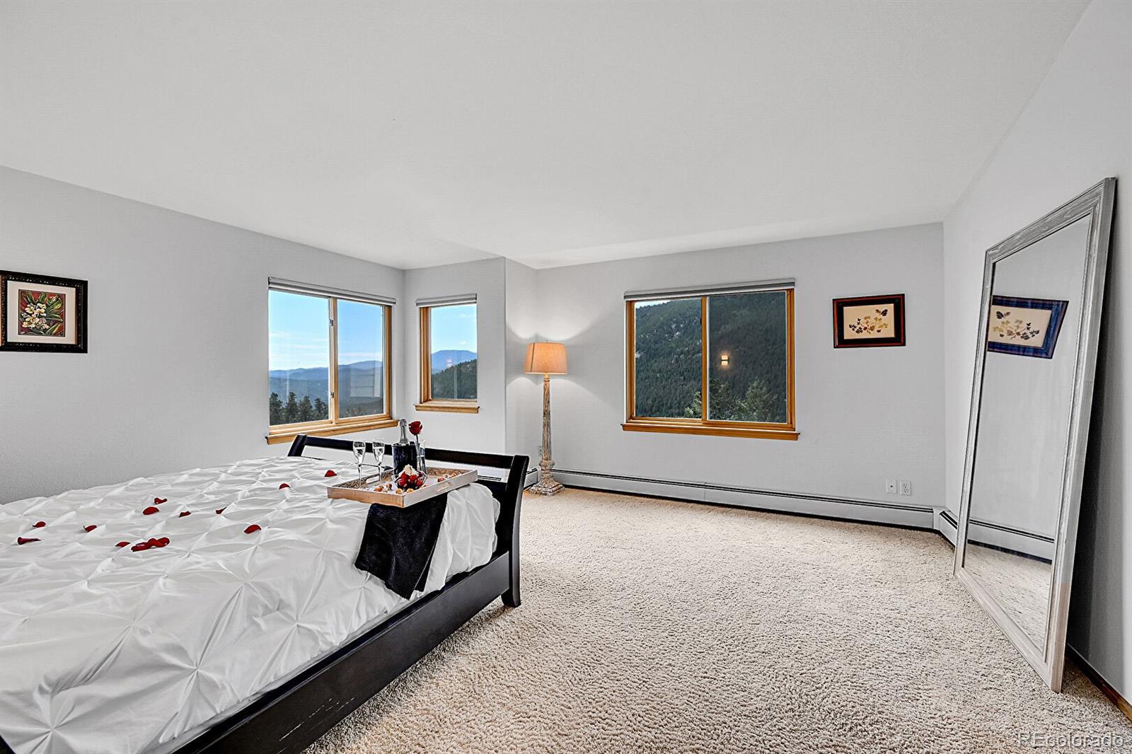 MLS Image #25 for 54  spruce court,evergreen, Colorado