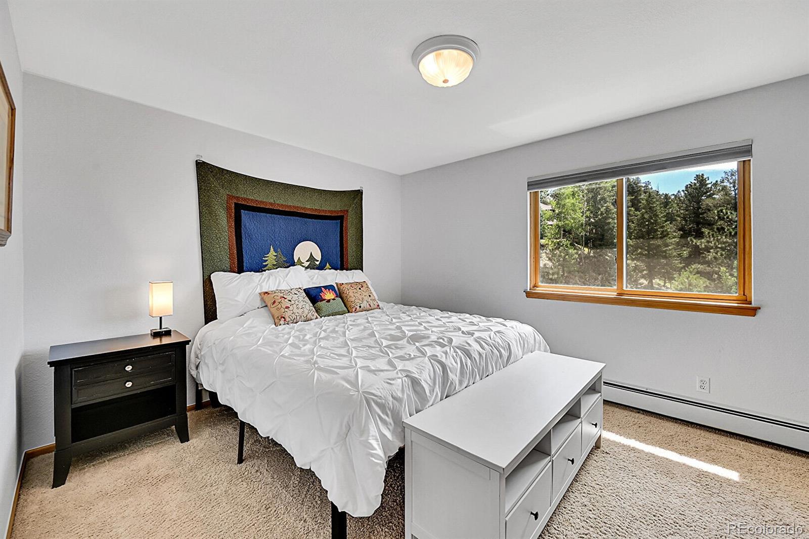 MLS Image #32 for 54  spruce court,evergreen, Colorado