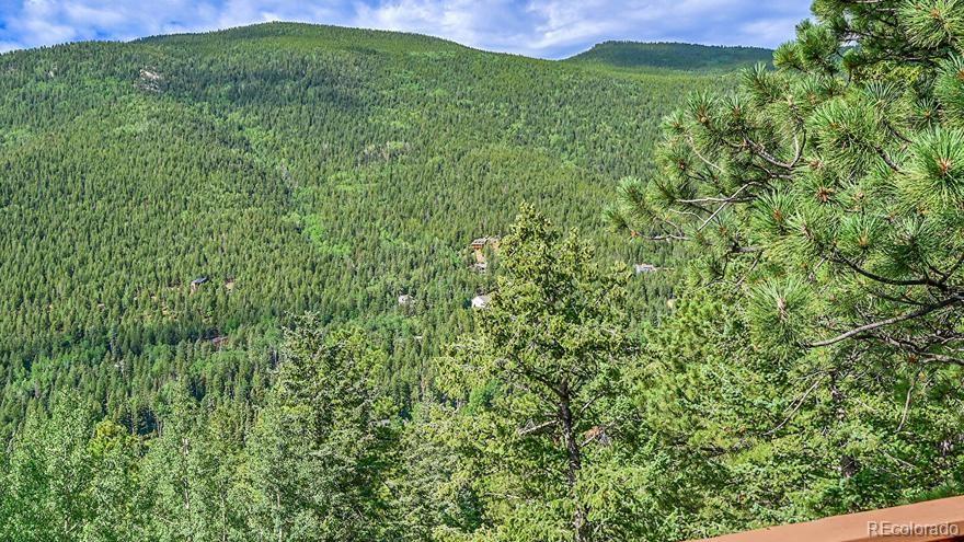 MLS Image #39 for 54  spruce court,evergreen, Colorado