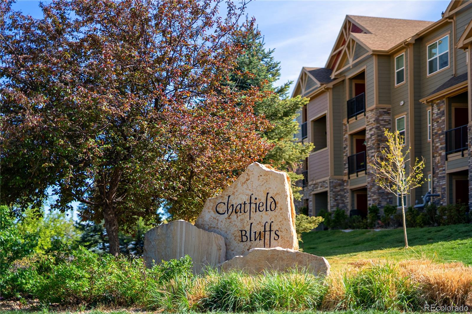 MLS Image #7 for 8726 s kline street,littleton, Colorado