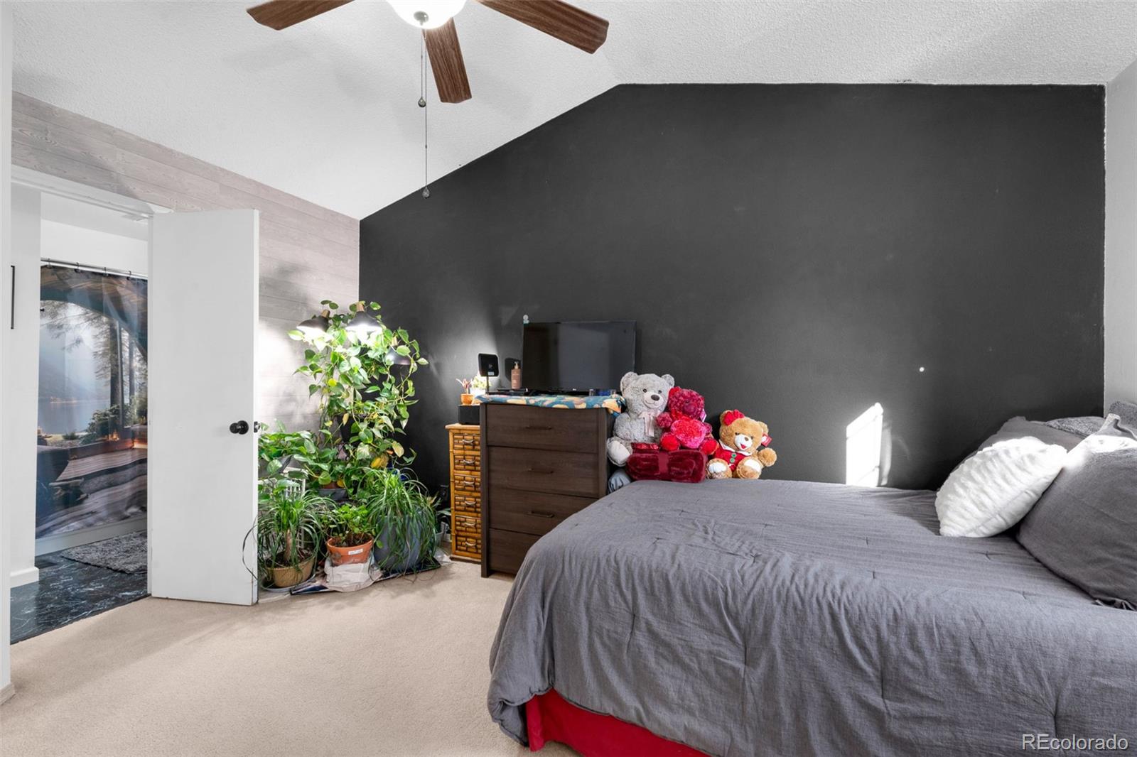 MLS Image #8 for 3643  queen anne way,colorado springs, Colorado