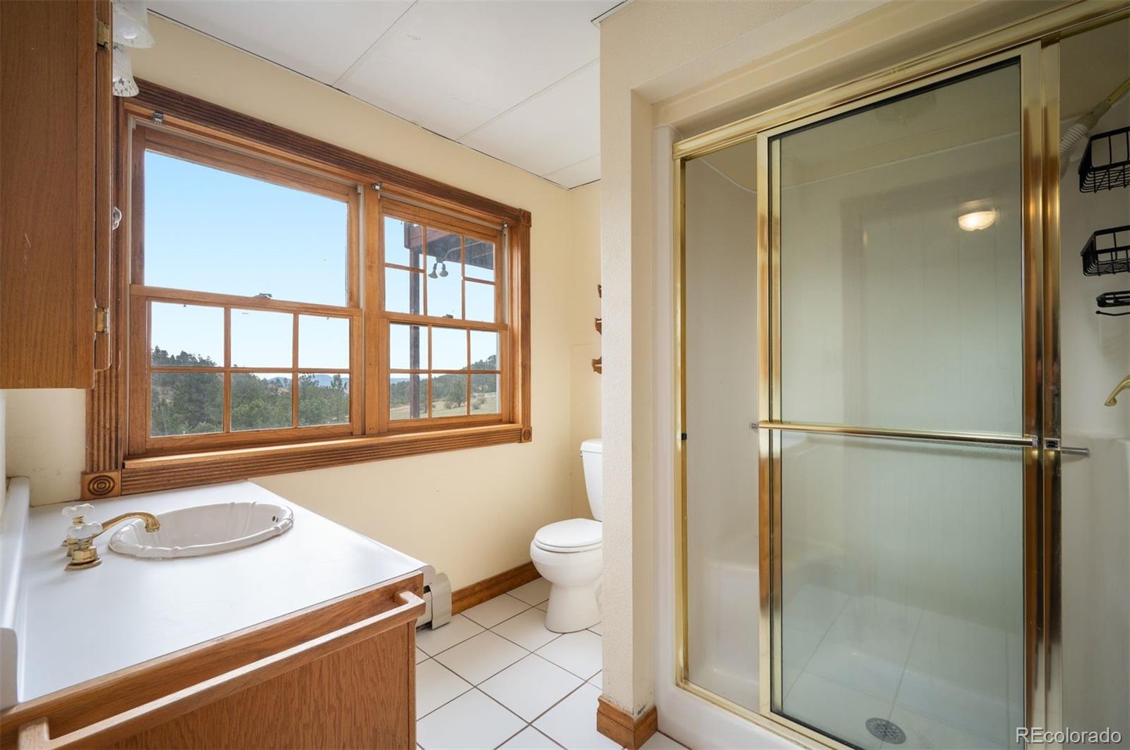 MLS Image #21 for 13991  jubilee trail,pine, Colorado