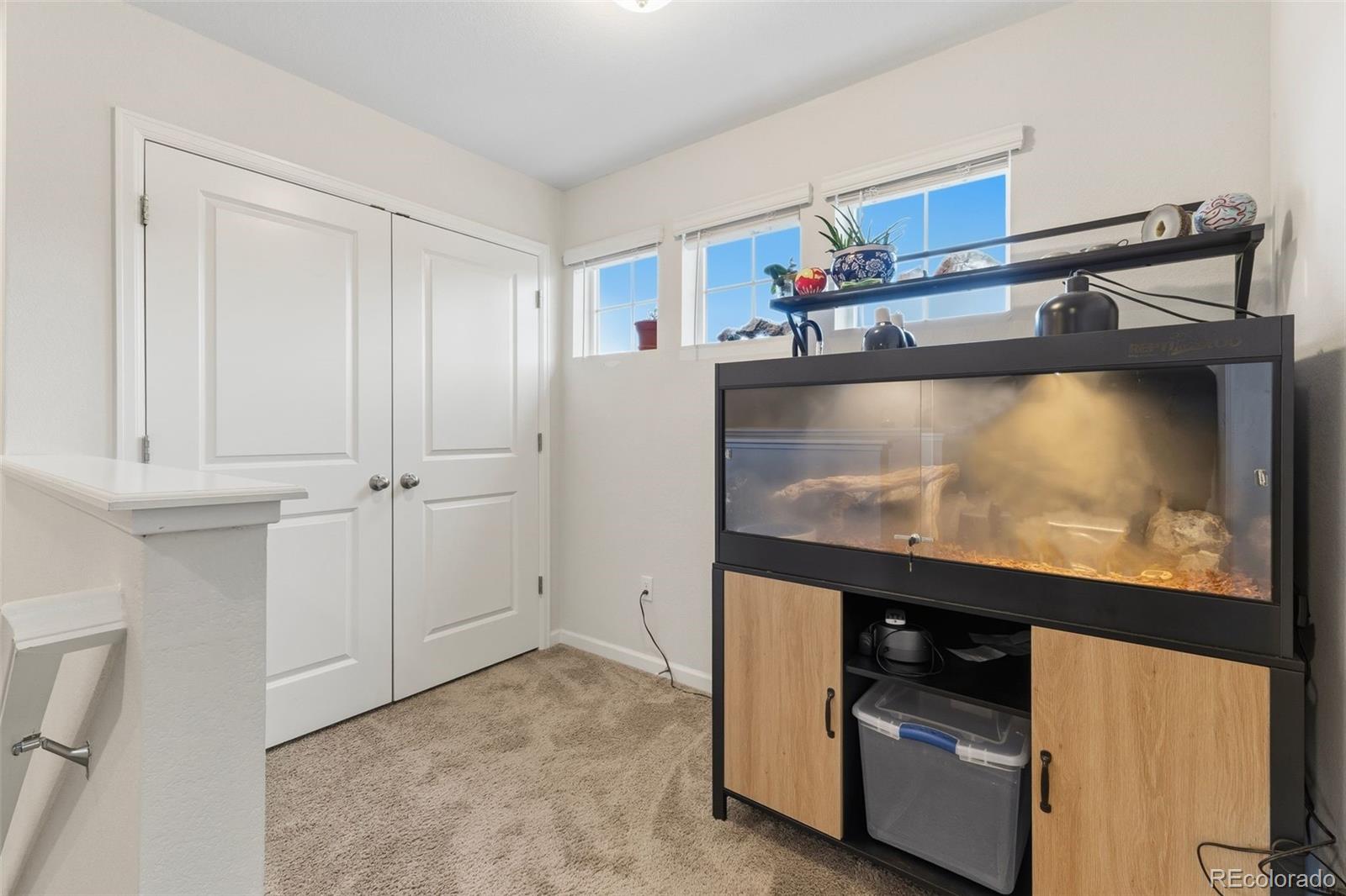 MLS Image #23 for 5620  canyon view drive,castle rock, Colorado