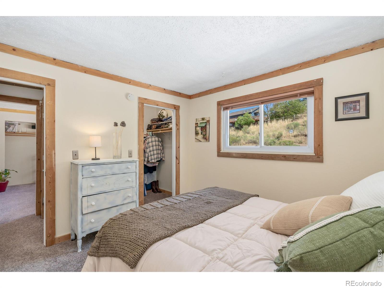 MLS Image #20 for 4815  hilltop drive,fort collins, Colorado