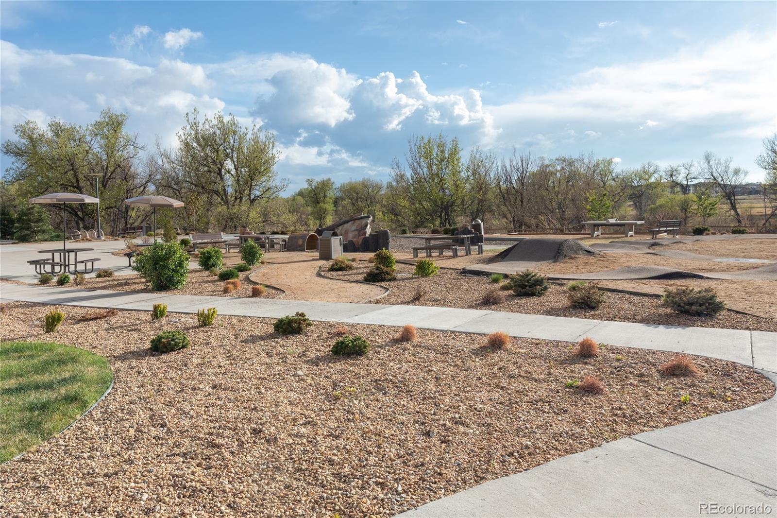 MLS Image #28 for 9283  twenty mile road,parker, Colorado