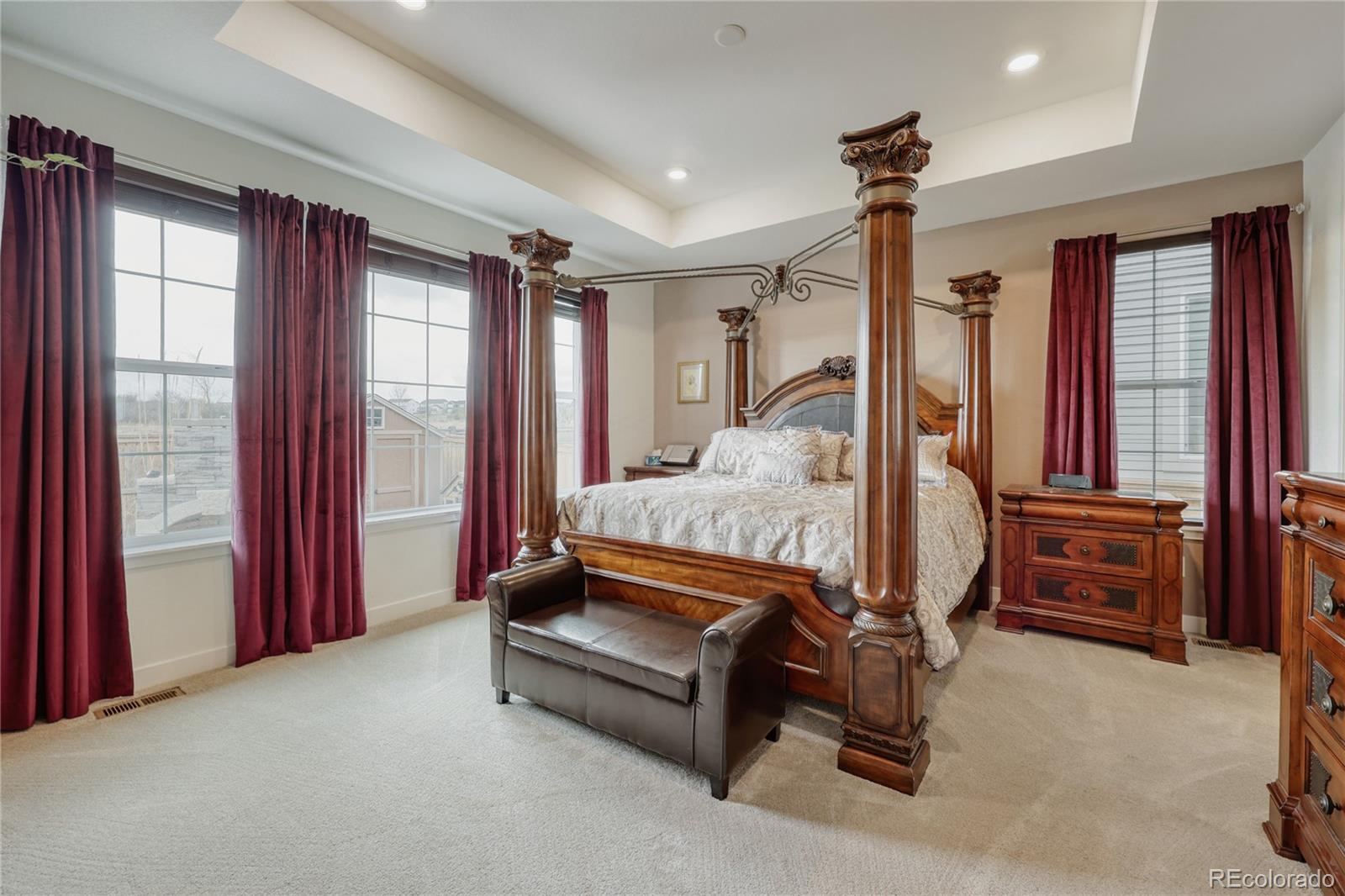 MLS Image #12 for 17188  desert wine trail,parker, Colorado