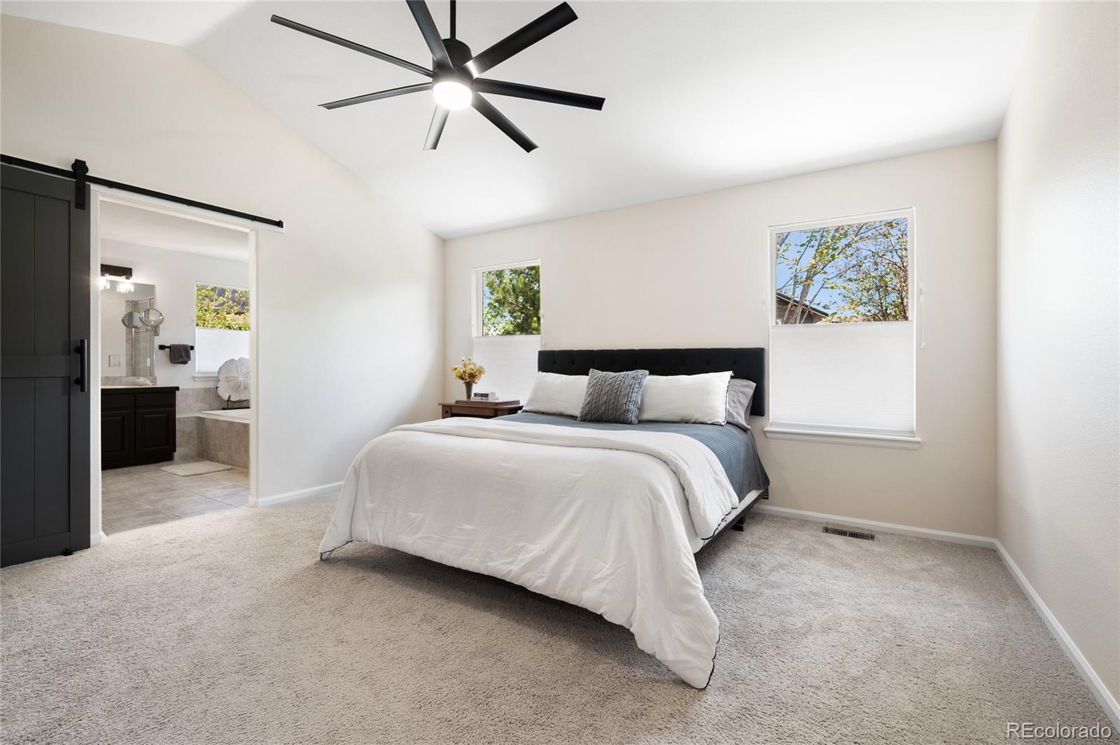 MLS Image #29 for 508  winterthur way,highlands ranch, Colorado