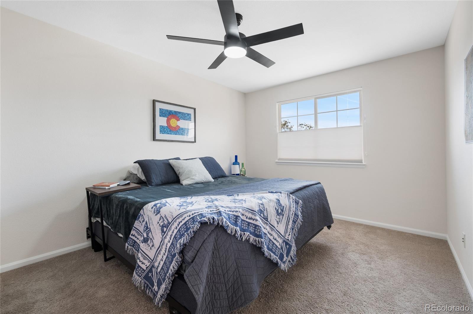 MLS Image #34 for 508  winterthur way,highlands ranch, Colorado