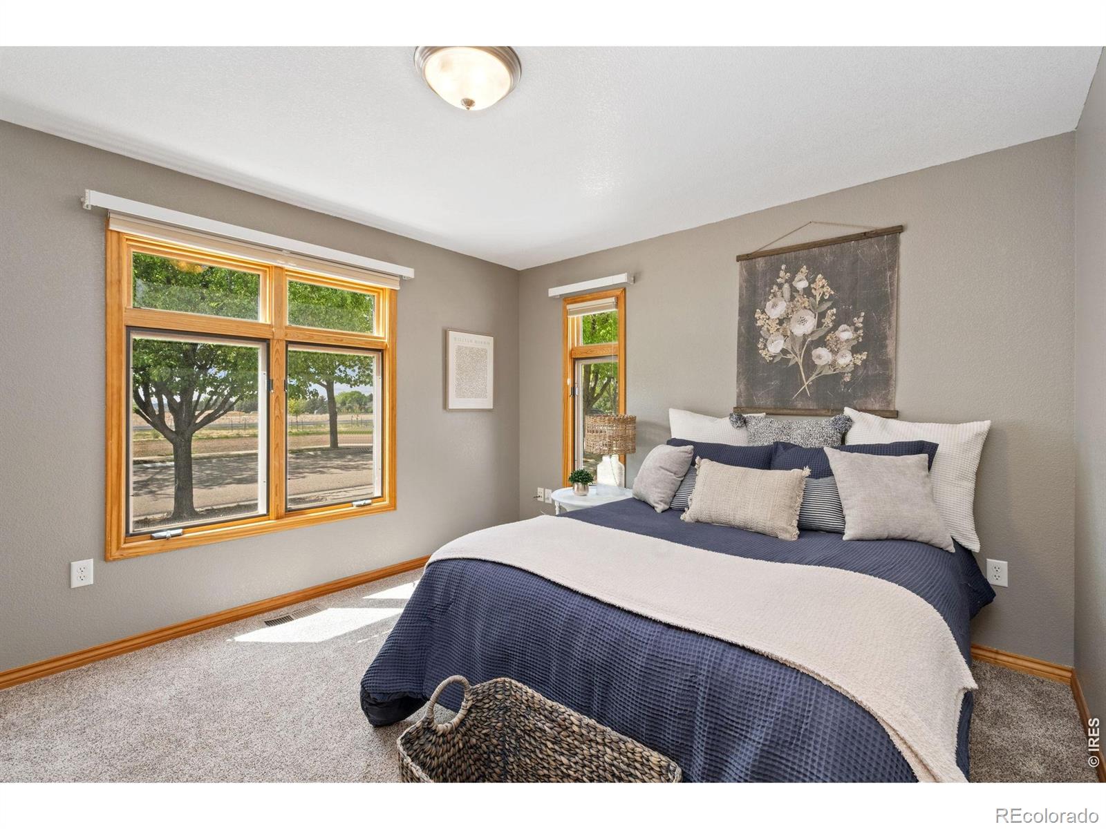 MLS Image #13 for 2138  maid marian court,fort collins, Colorado