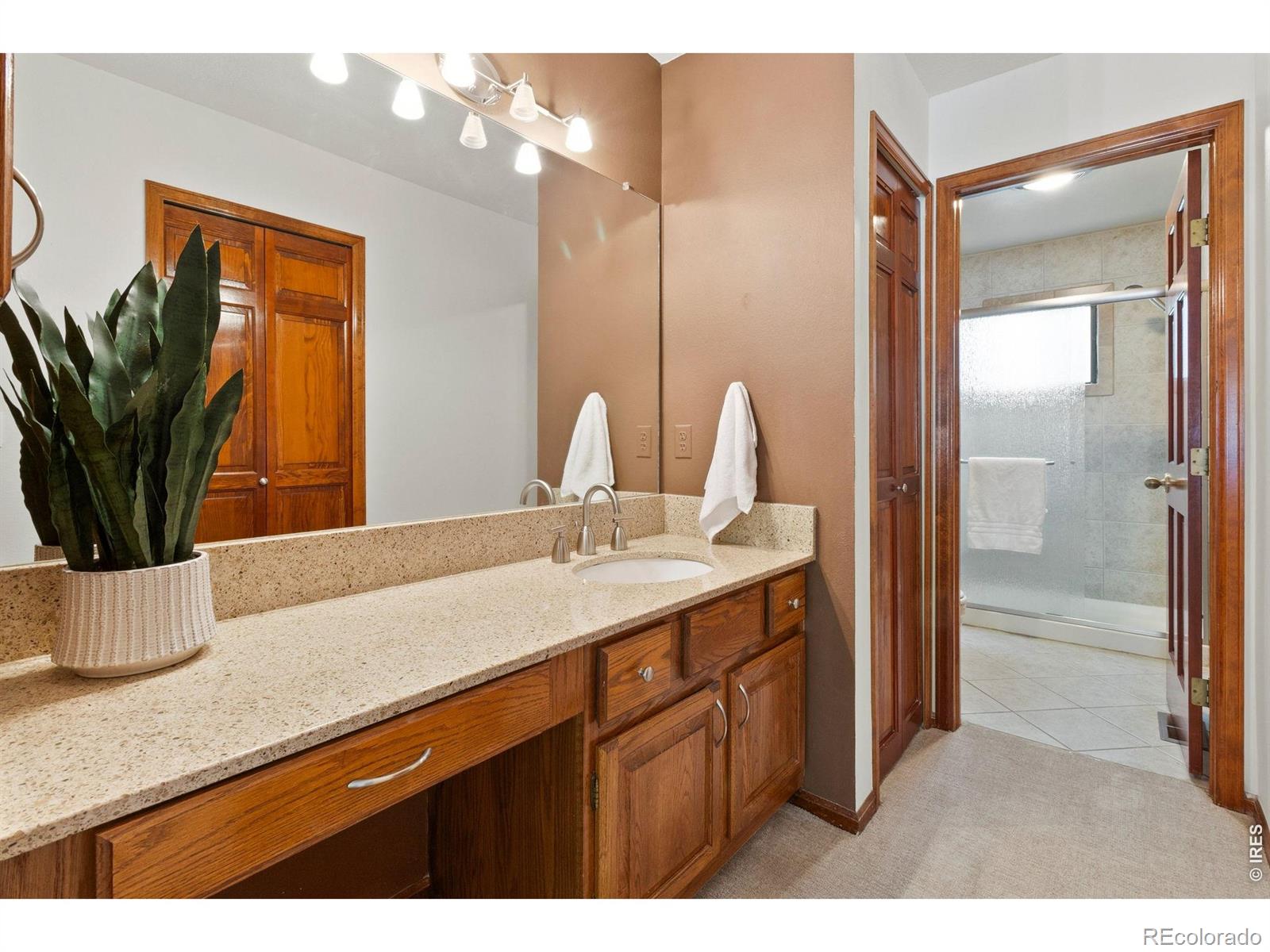 MLS Image #12 for 5619  hummel lane,fort collins, Colorado