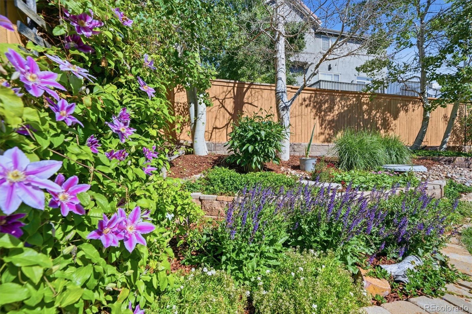 MLS Image #5 for 4579  laurelglen lane,highlands ranch, Colorado
