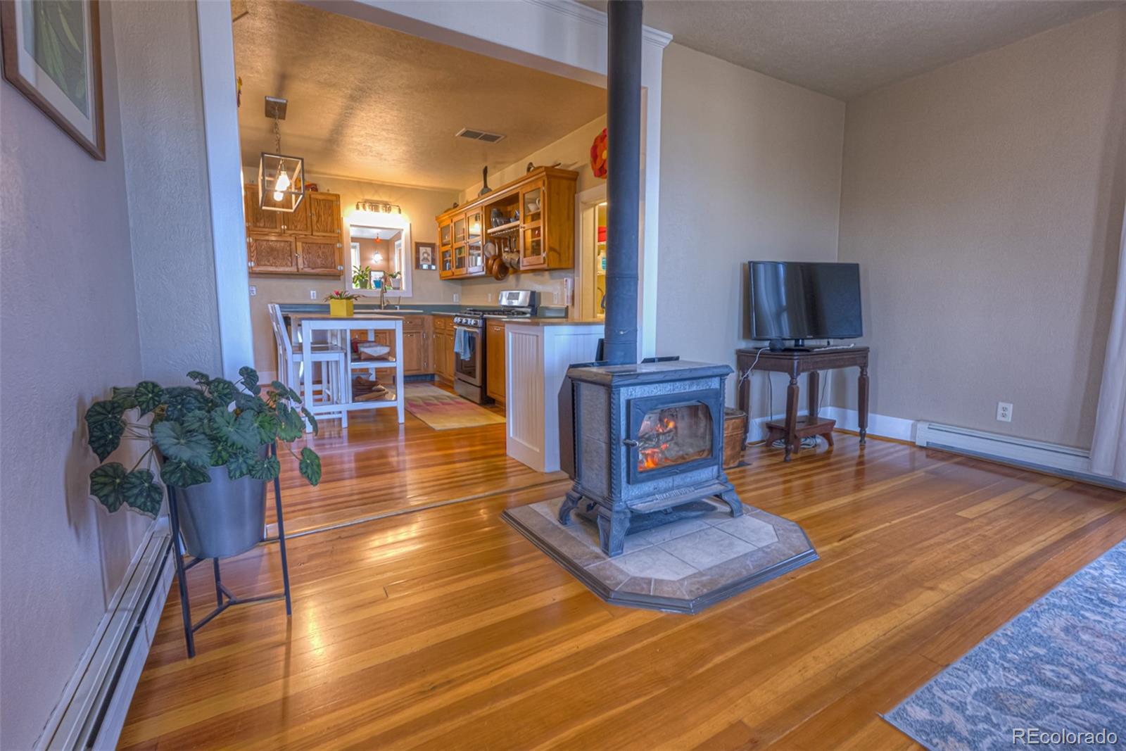 MLS Image #10 for 202 e virginia street,la veta, Colorado