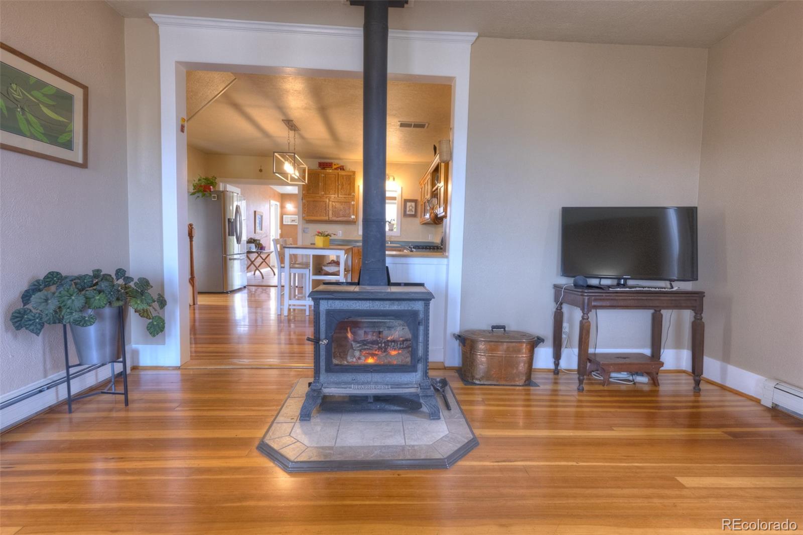 MLS Image #12 for 202 e virginia street,la veta, Colorado