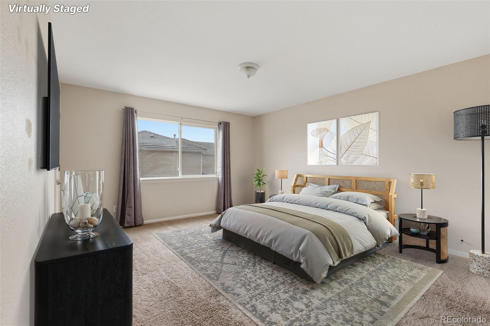 MLS Image #12 for 3983  jericho street,denver, Colorado