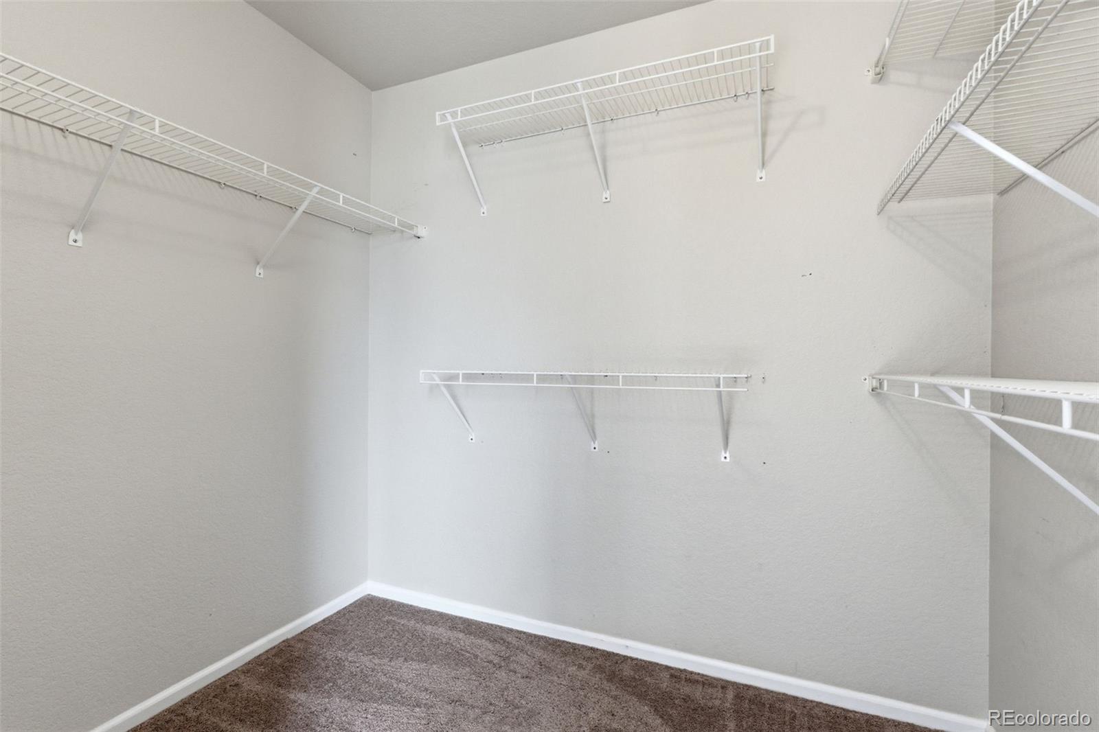 MLS Image #14 for 3983  jericho street,denver, Colorado