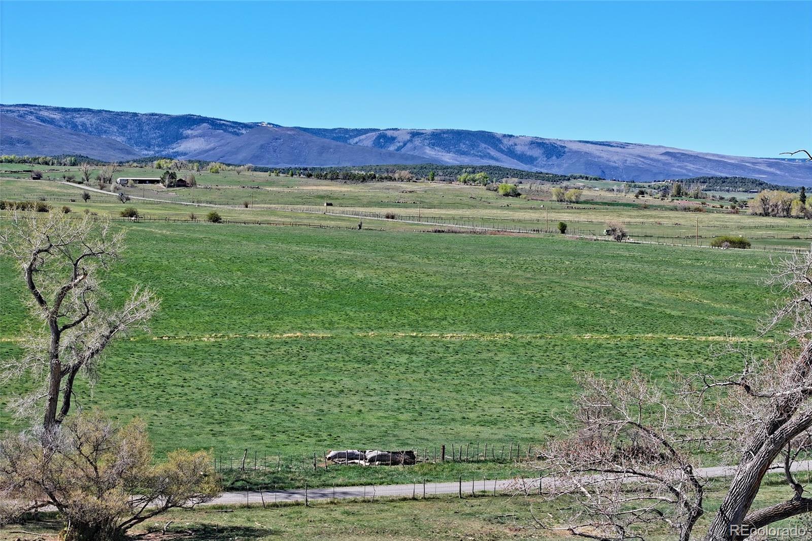 MLS Image #39 for 58749  oe road,collbran, Colorado