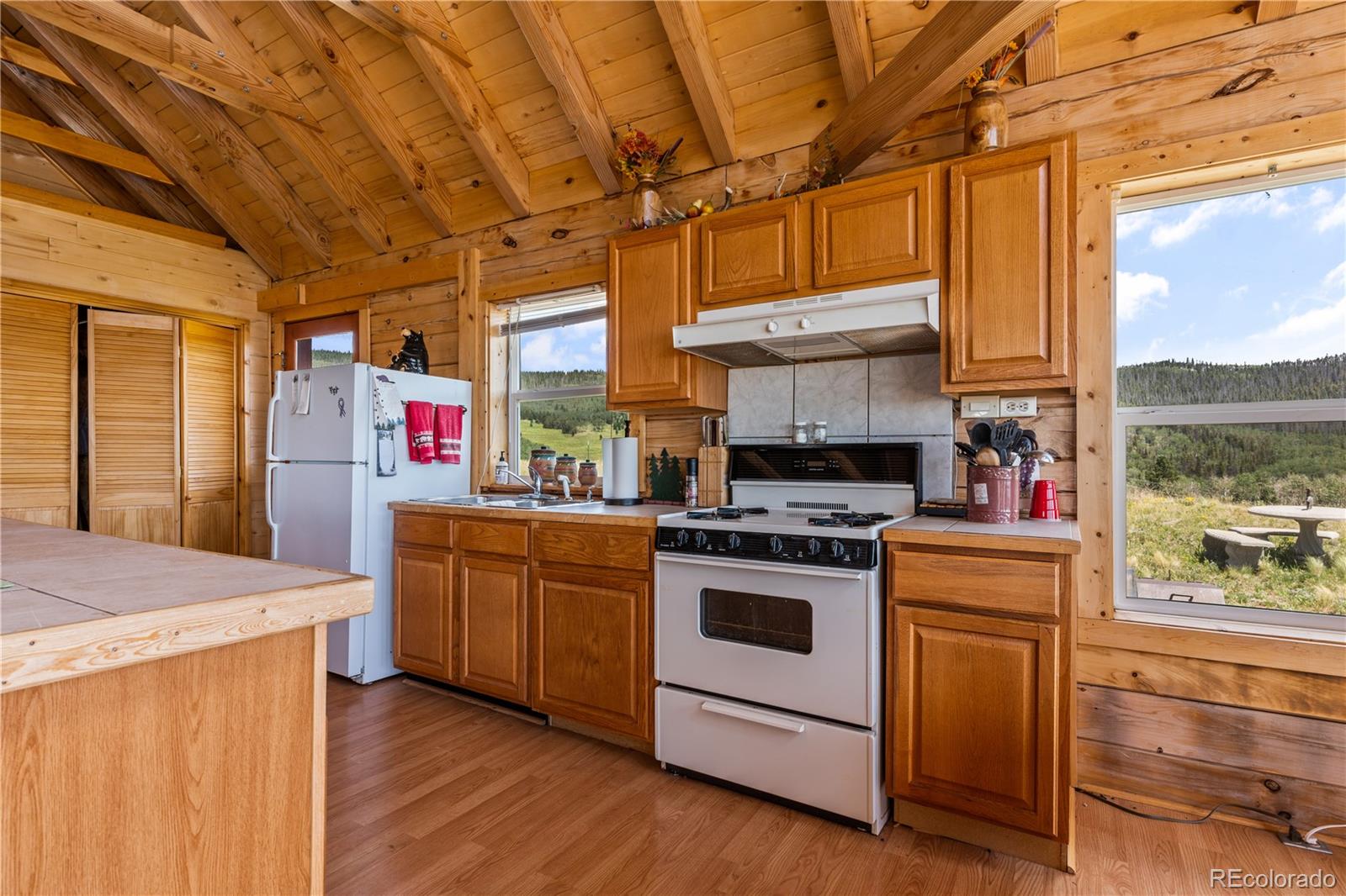 MLS Image #10 for 1705  adams avenue,westcliffe, Colorado