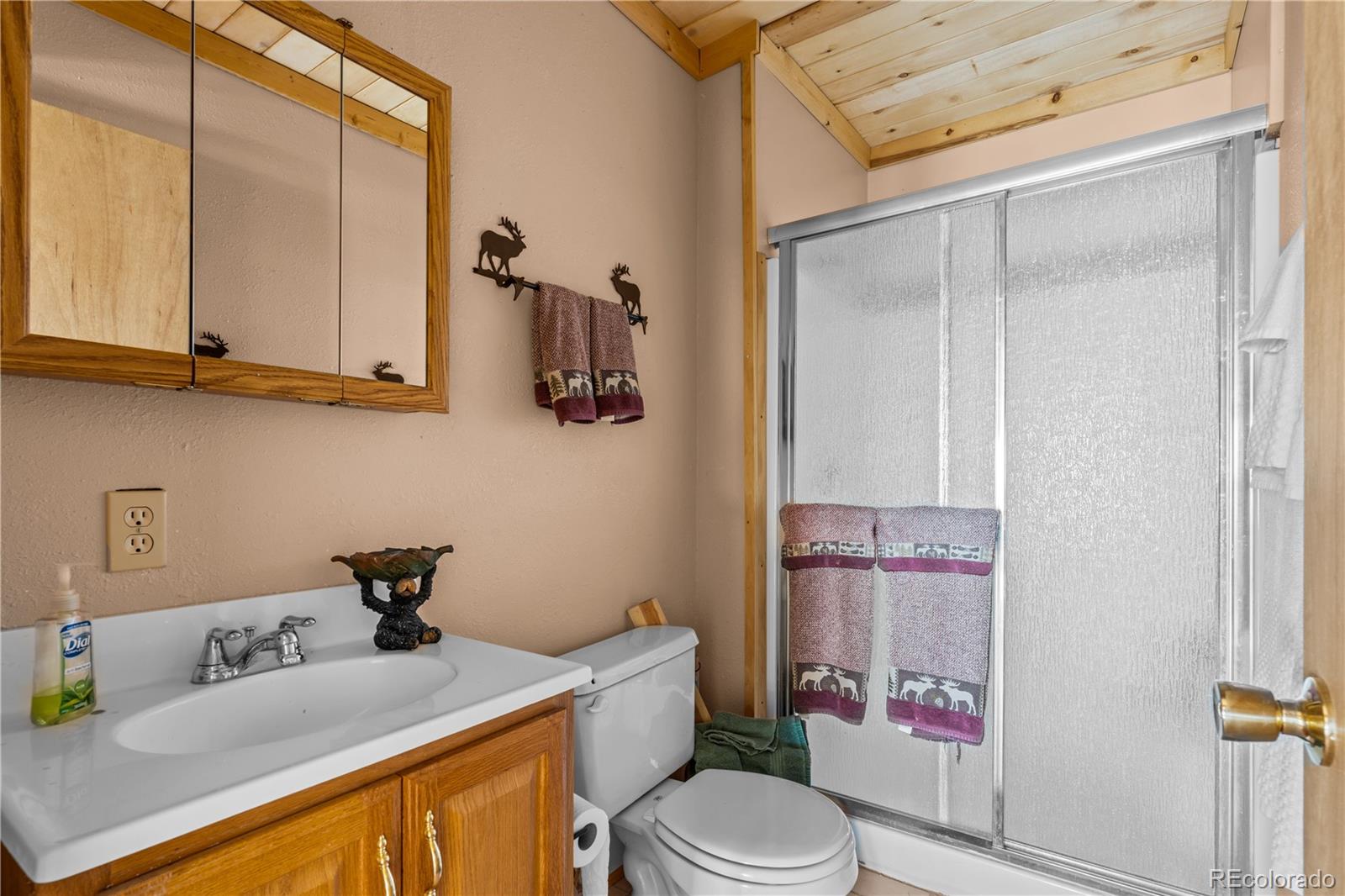 MLS Image #19 for 1705  adams avenue,westcliffe, Colorado