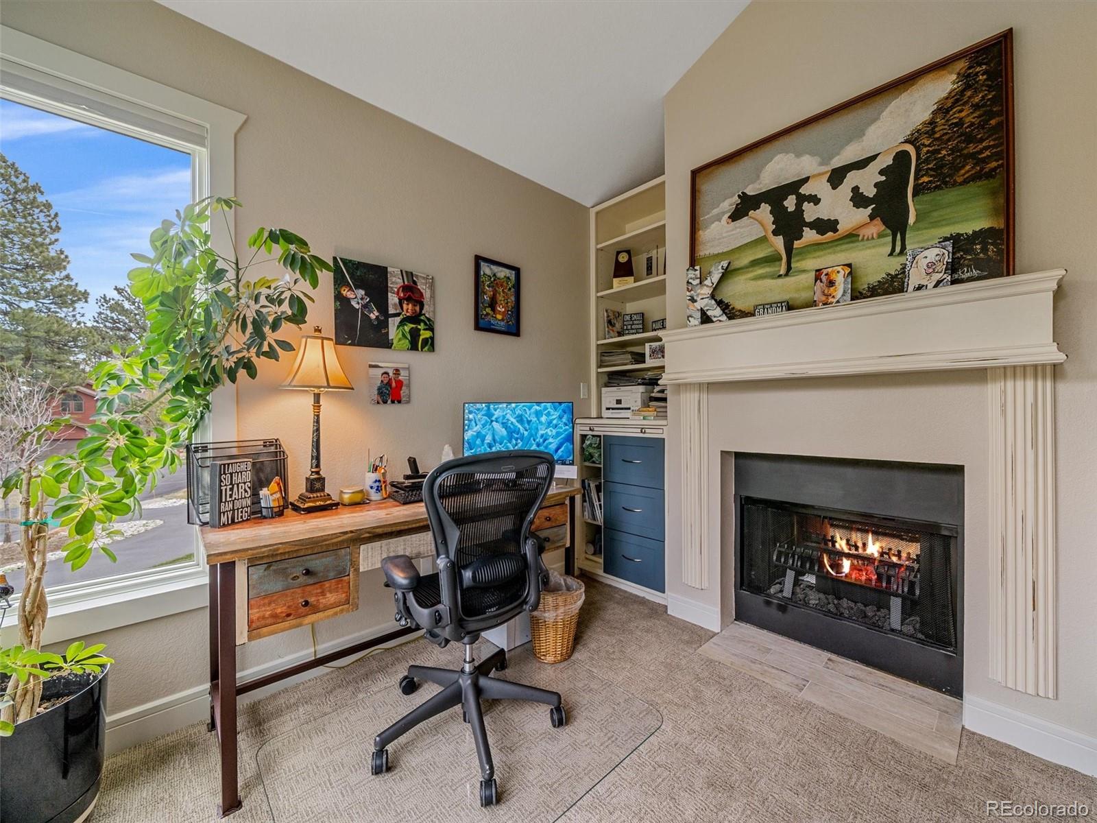 MLS Image #22 for 2100  island lane,evergreen, Colorado