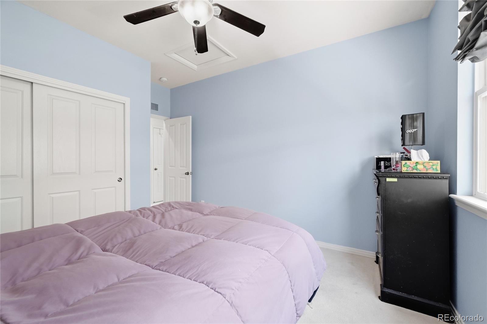 MLS Image #26 for 2372  woodhouse lane,castle rock, Colorado