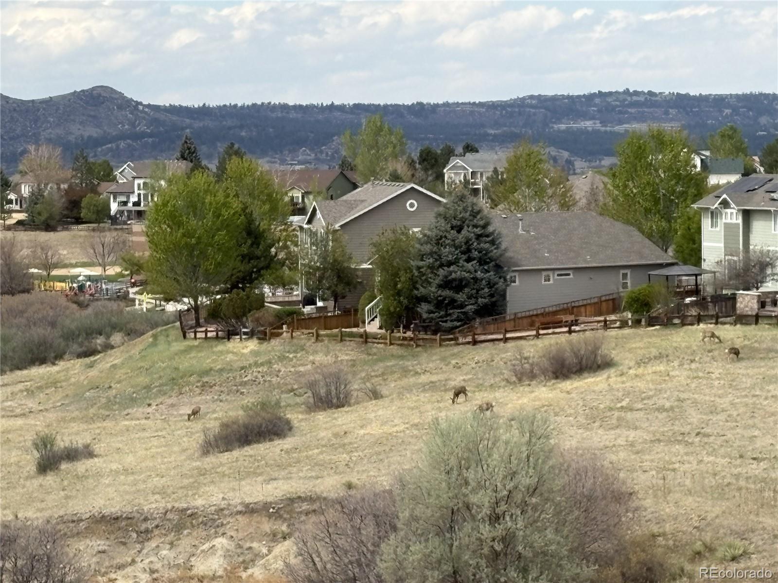 MLS Image #36 for 2372  woodhouse lane,castle rock, Colorado