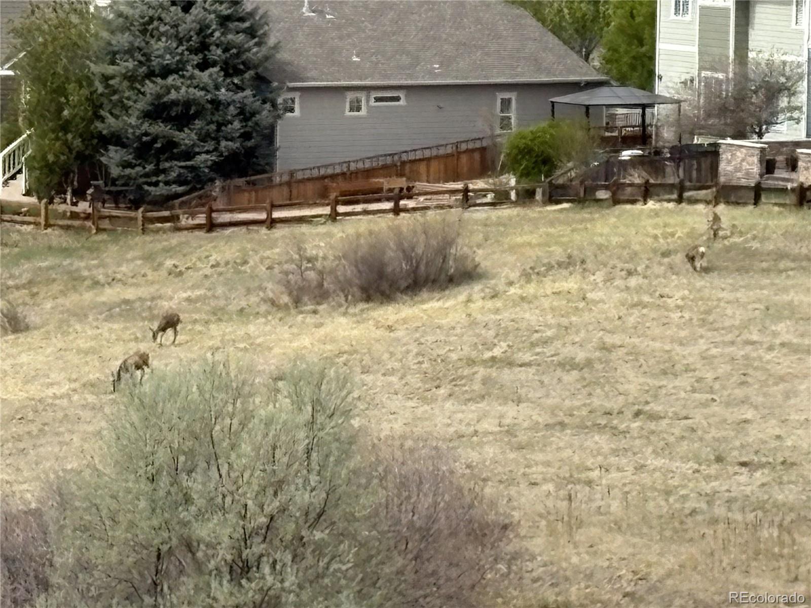 MLS Image #37 for 2372  woodhouse lane,castle rock, Colorado