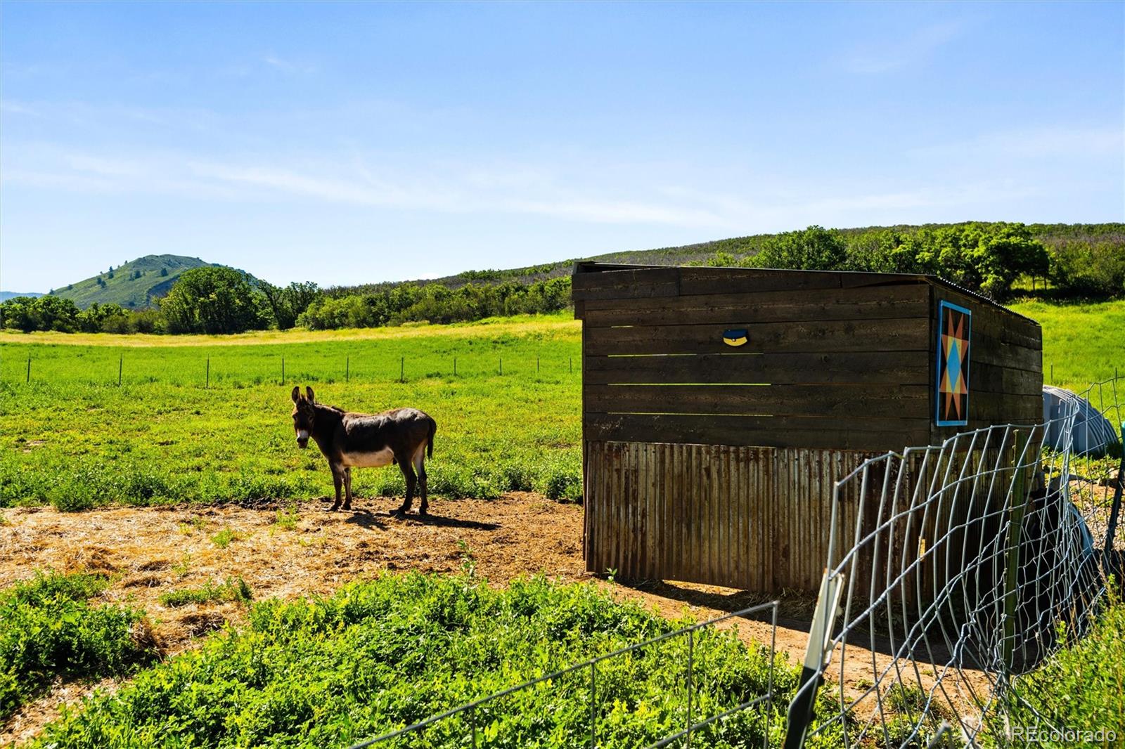 MLS Image #21 for 7315  county road 312 ,new castle, Colorado