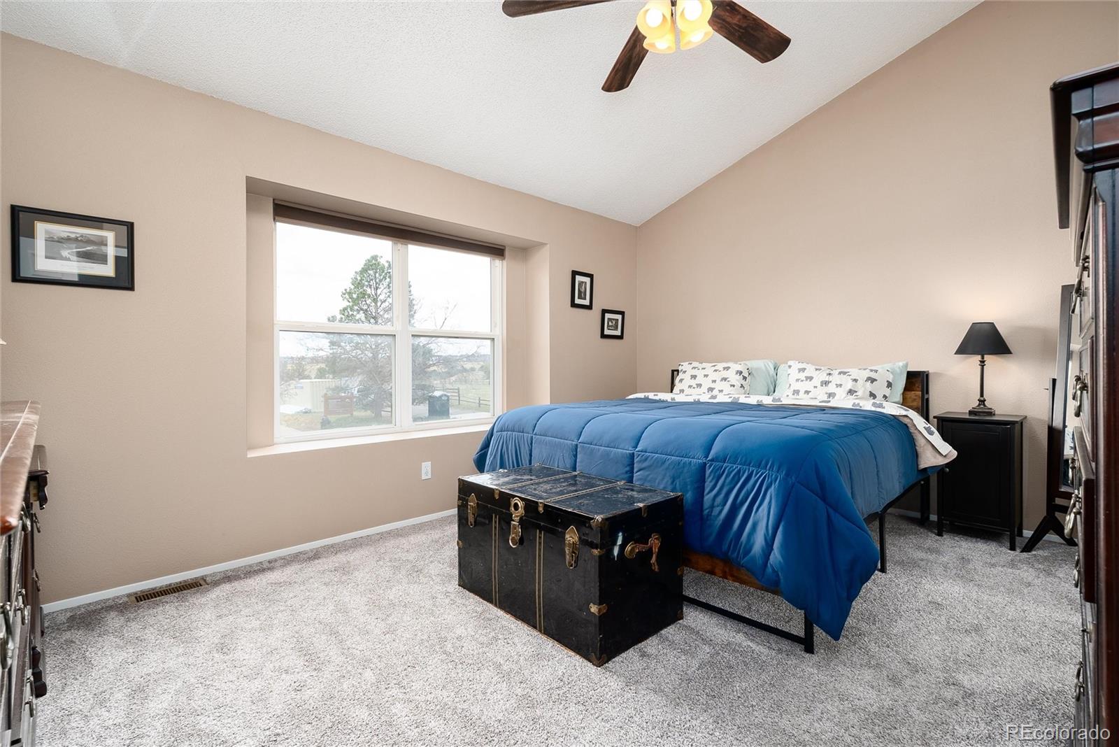 MLS Image #17 for 5729  wagonwheel trail,castle rock, Colorado