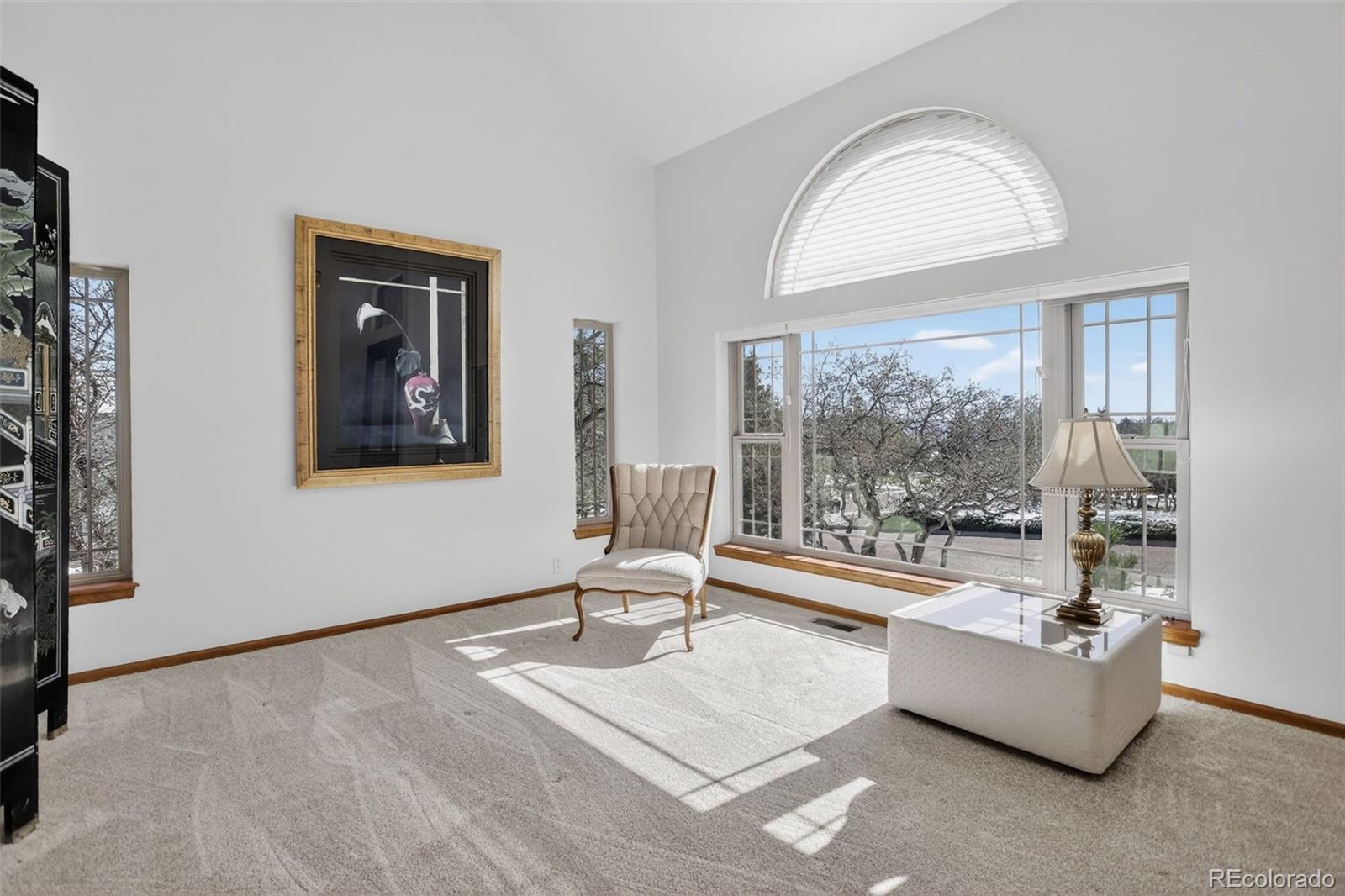 MLS Image #10 for 8370  bluffview way,colorado springs, Colorado