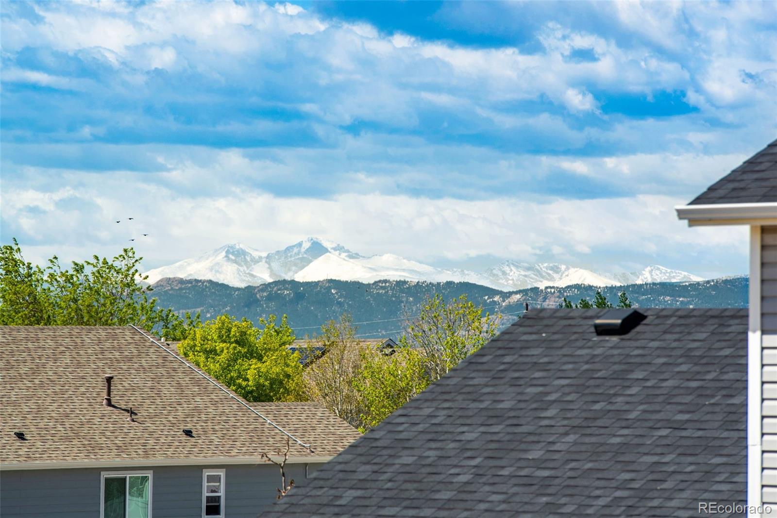 MLS Image #21 for 7035  mcclellan road,wellington, Colorado