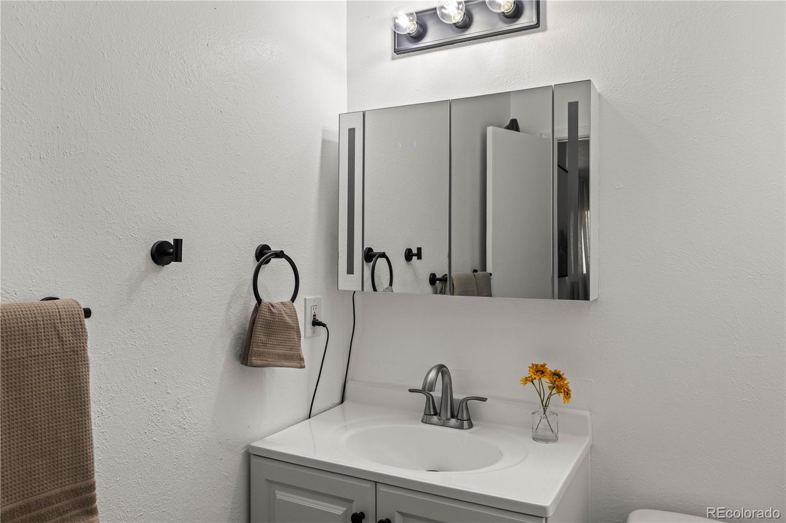 MLS Image #21 for 2951 s downing street,englewood, Colorado