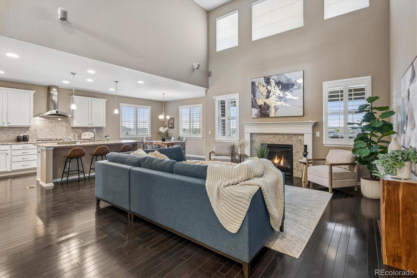 MLS Image #12 for 14272  double dutch circle,parker, Colorado