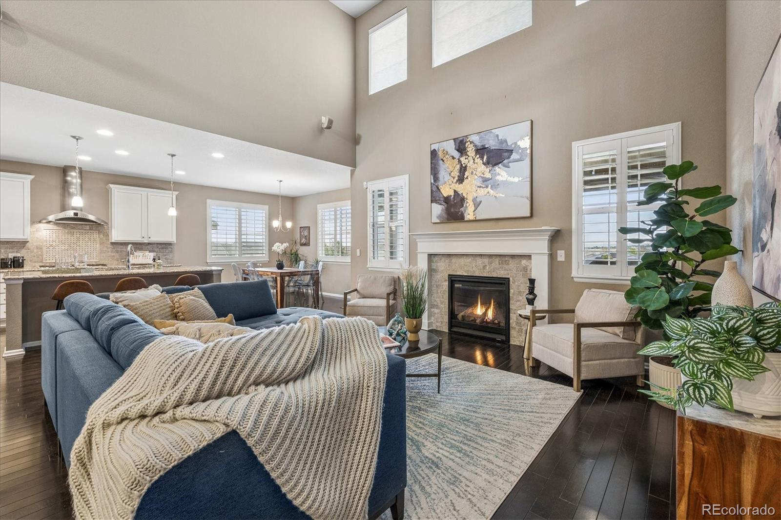 MLS Image #18 for 14272  double dutch circle,parker, Colorado