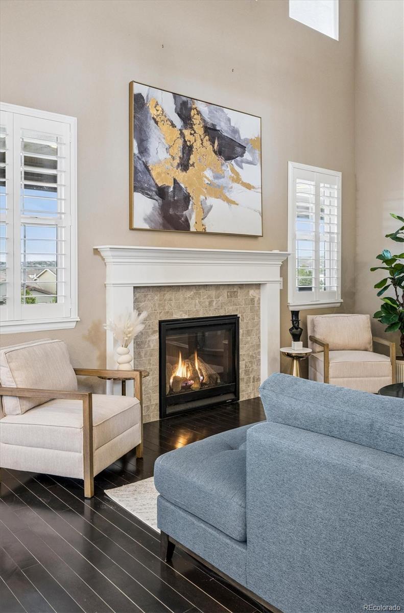 MLS Image #21 for 14272  double dutch circle,parker, Colorado
