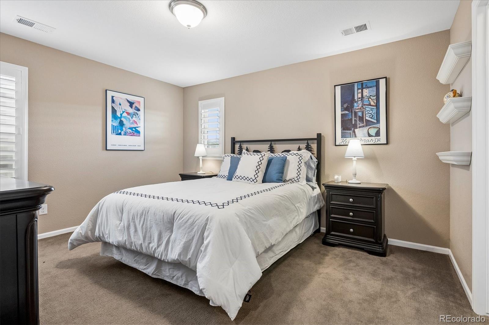 MLS Image #29 for 14272  double dutch circle,parker, Colorado