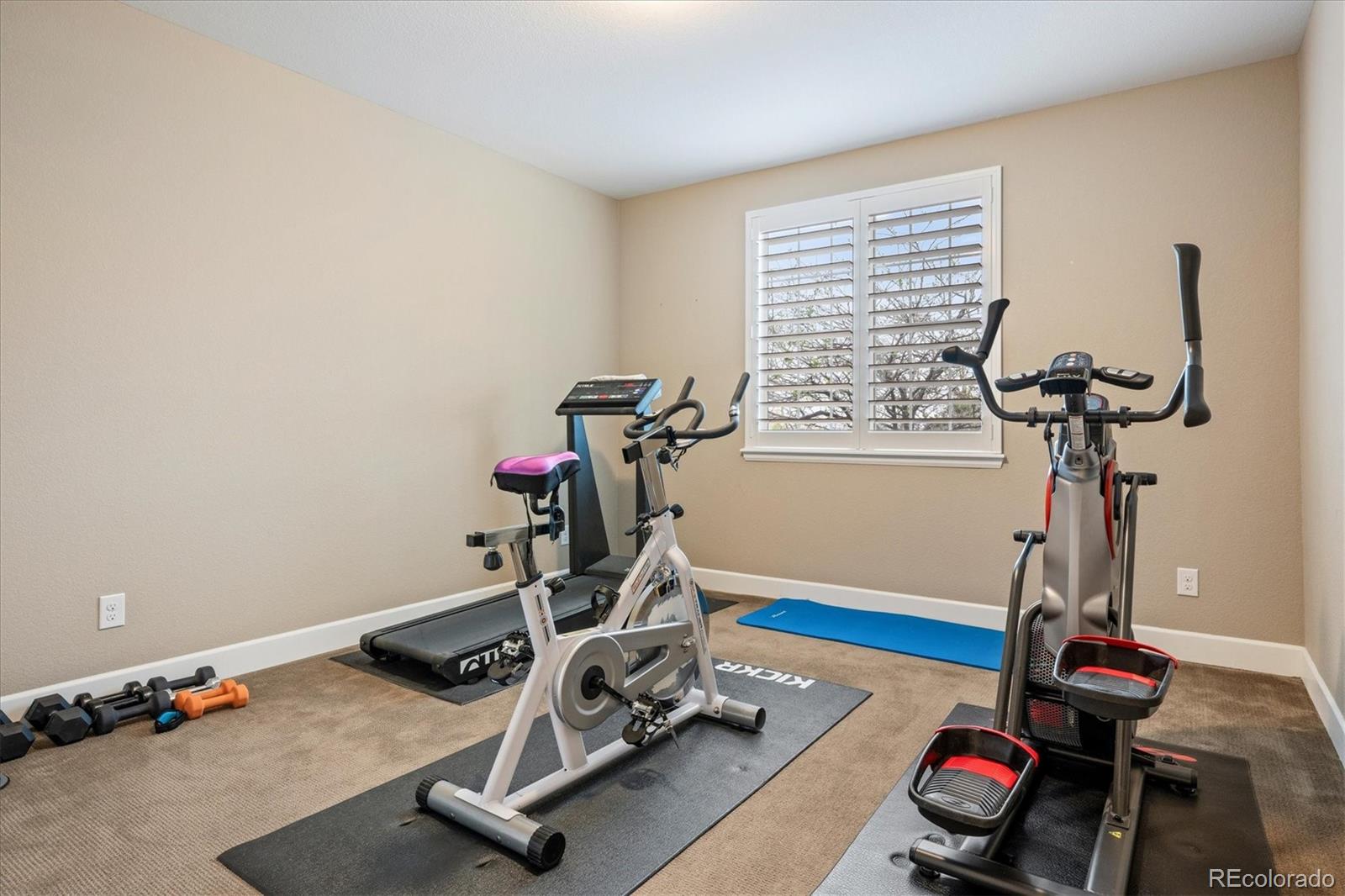 MLS Image #33 for 14272  double dutch circle,parker, Colorado