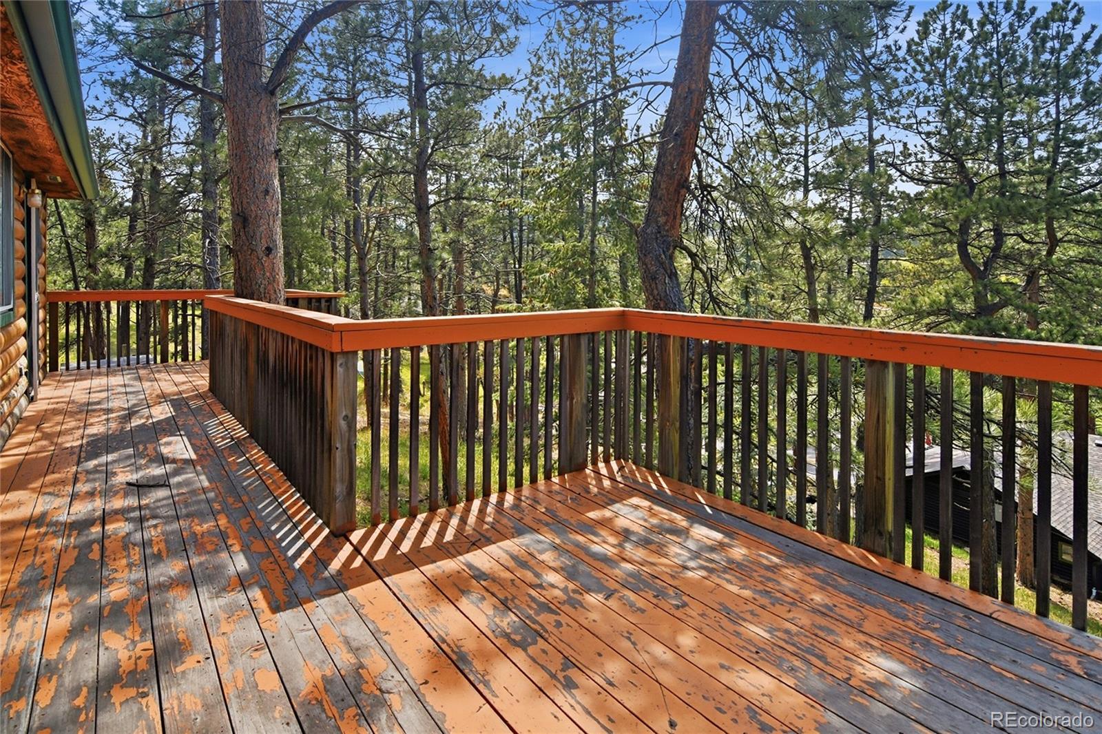 MLS Image #20 for 5091 s olive road,evergreen, Colorado