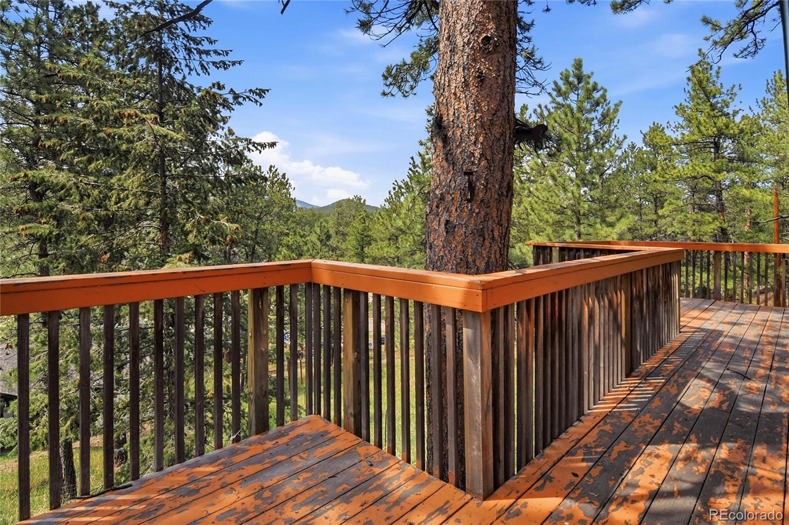 MLS Image #22 for 5091 s olive road,evergreen, Colorado