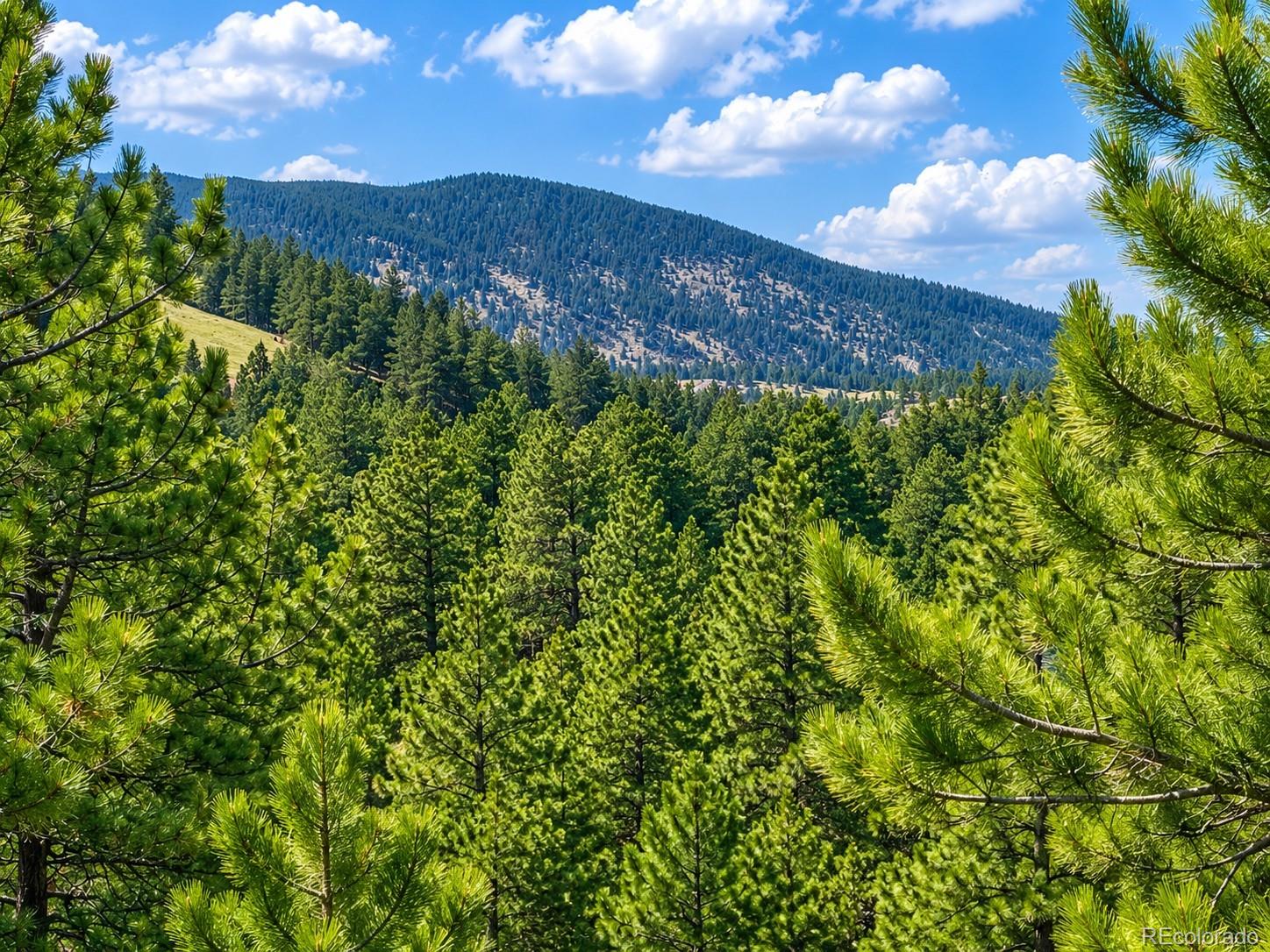 MLS Image #32 for 5091 s olive road,evergreen, Colorado