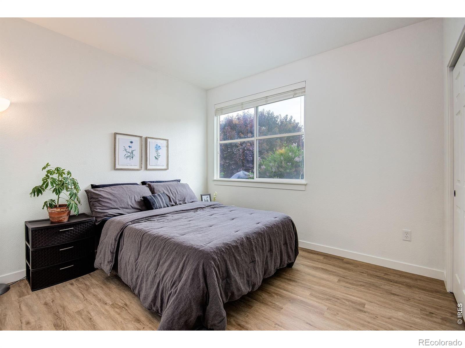MLS Image #13 for 1907  grays peak drive,loveland, Colorado