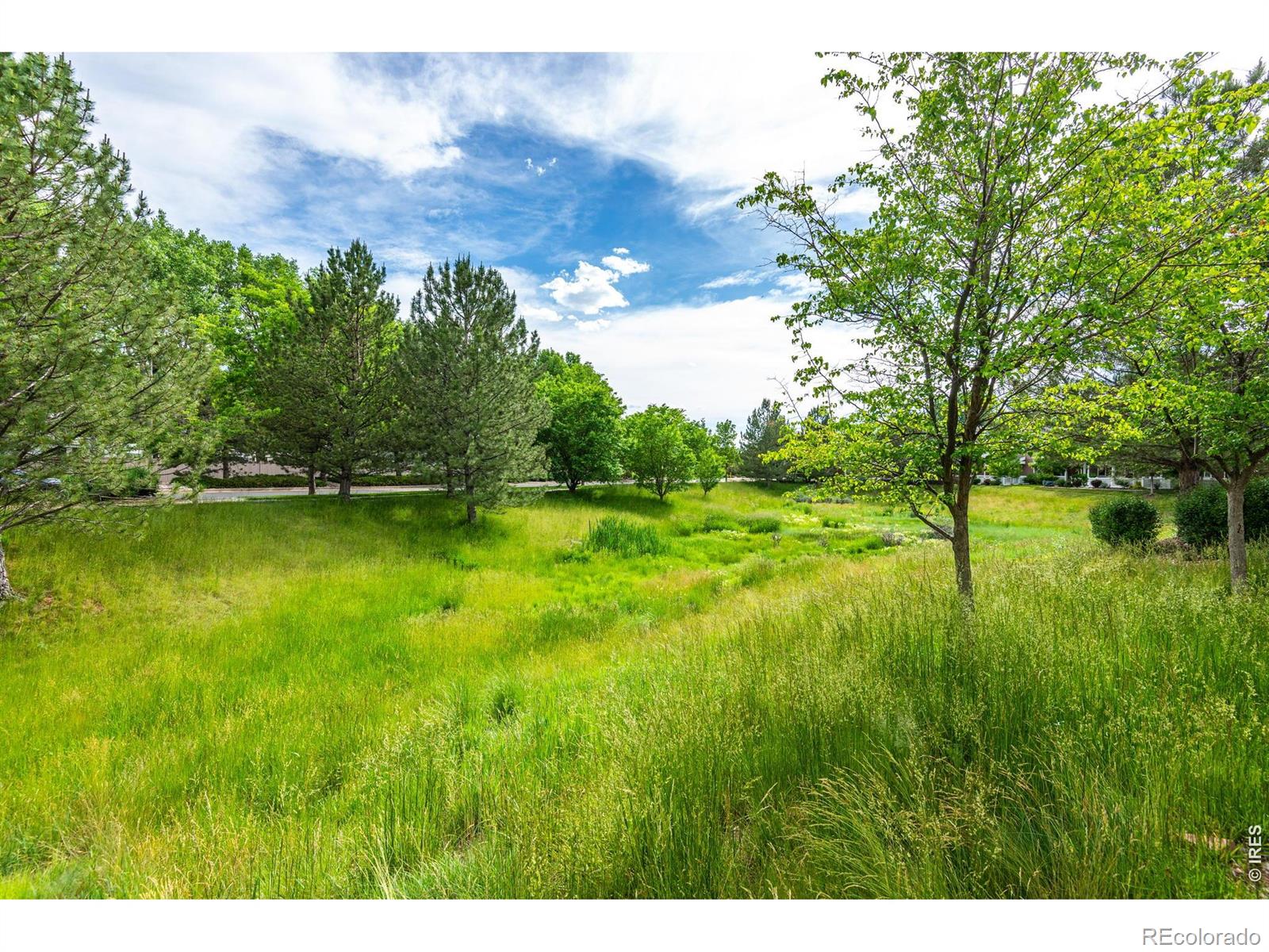 MLS Image #21 for 1907  grays peak drive,loveland, Colorado