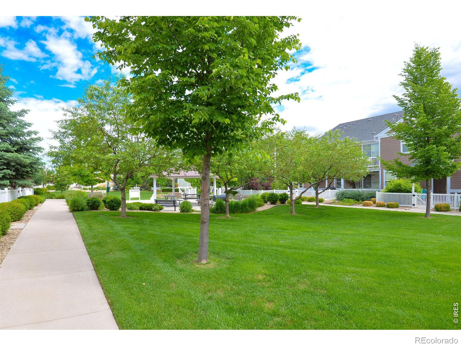 MLS Image #22 for 1907  grays peak drive,loveland, Colorado