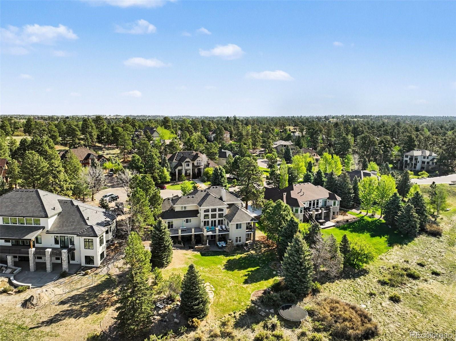 MLS Image #41 for 7748  running fox way,parker, Colorado