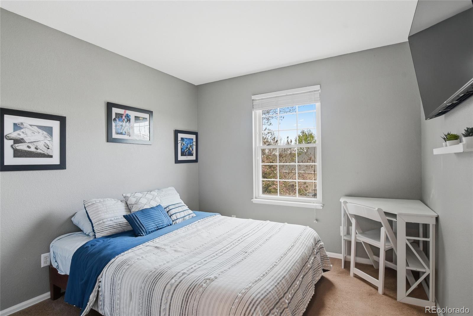 MLS Image #20 for 16221  white hawk drive,parker, Colorado