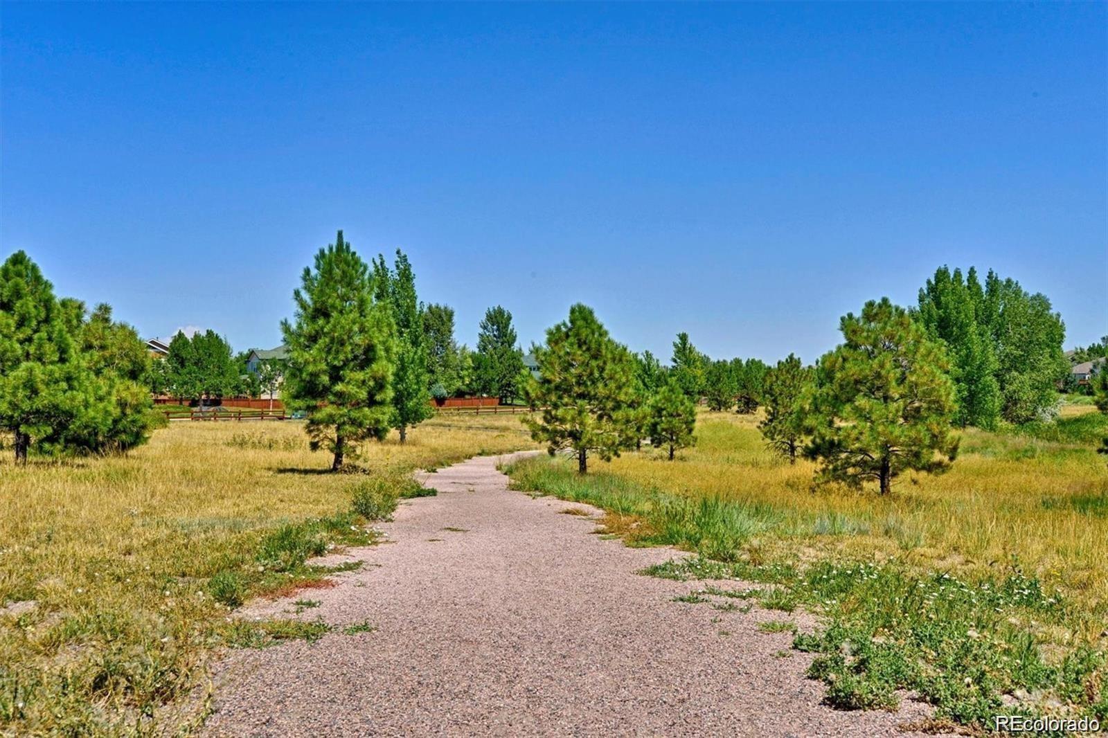 MLS Image #31 for 16221  white hawk drive,parker, Colorado
